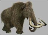 Mamut