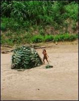 Tribu_amazonas