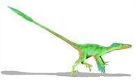 Velociraptor_plumas