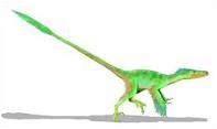Velociraptor_plumas